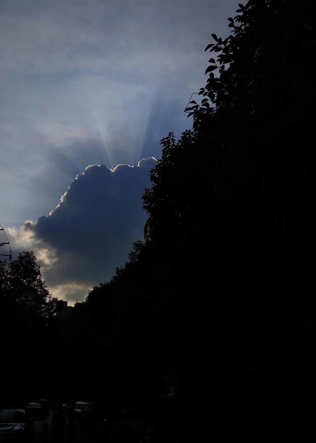 2019犯凶星的属相,2019年犯凶星的属相