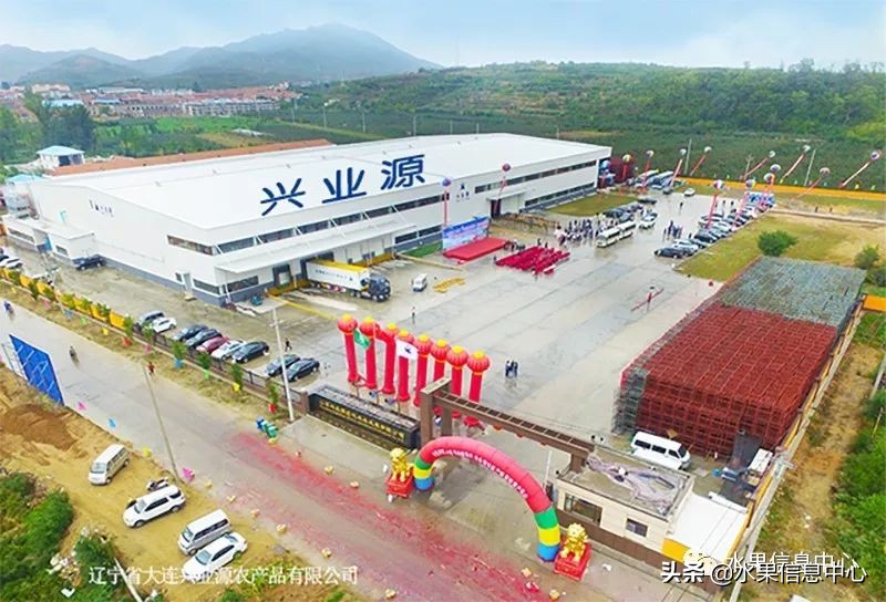 水果市场打拼的女人,卖水果的女人们