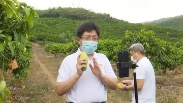 为拉动当地经济，各地官员开启新型“副业”，网友：这个兼职好