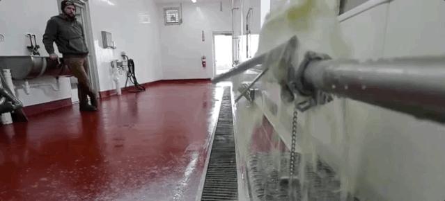 黑天鹅后灰犀牛:倒牛奶到负油价,完美风暴加剧经济滞胀