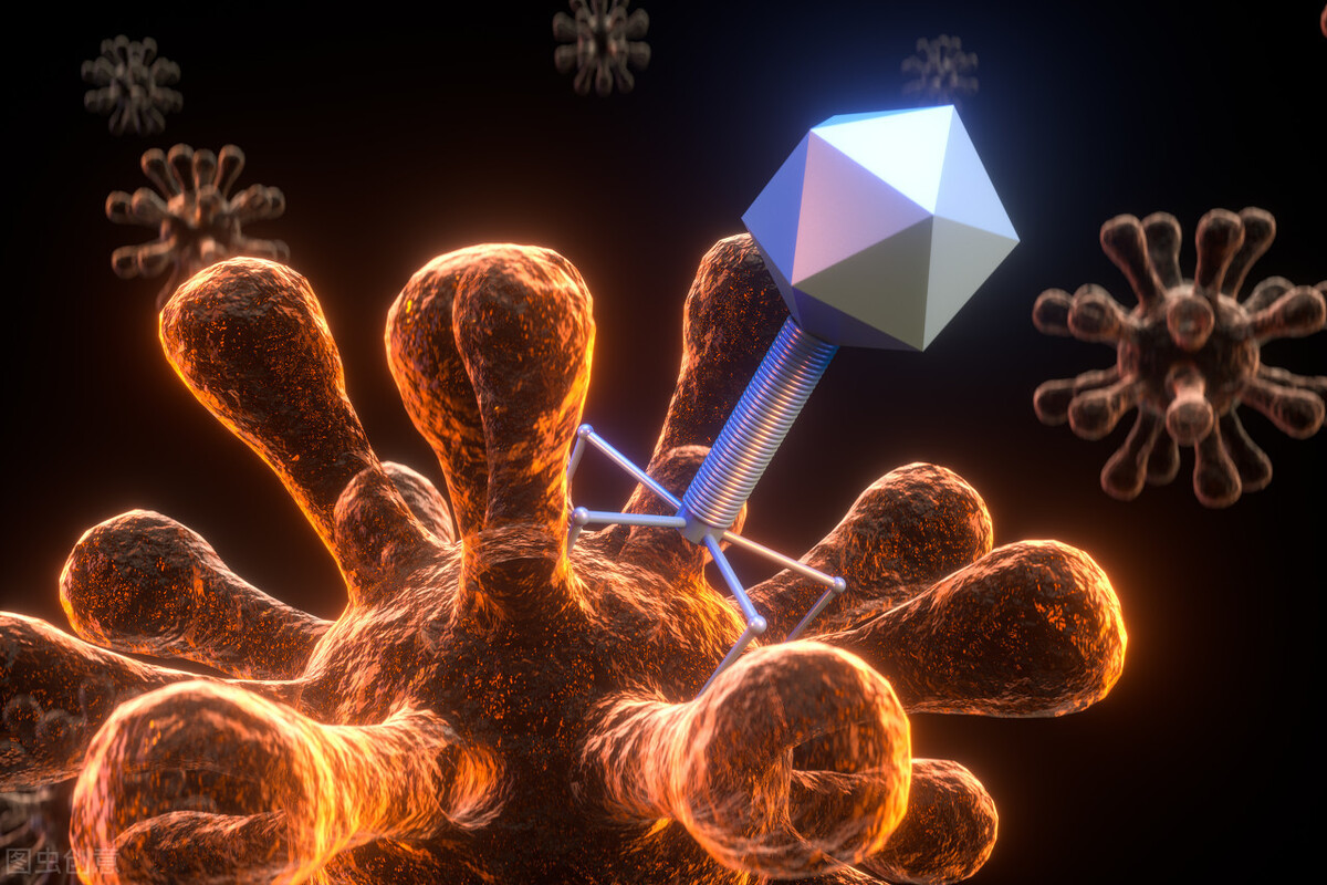 靶向药是治疗癌症新希望,肿瘤免疫治疗和靶向药的区别