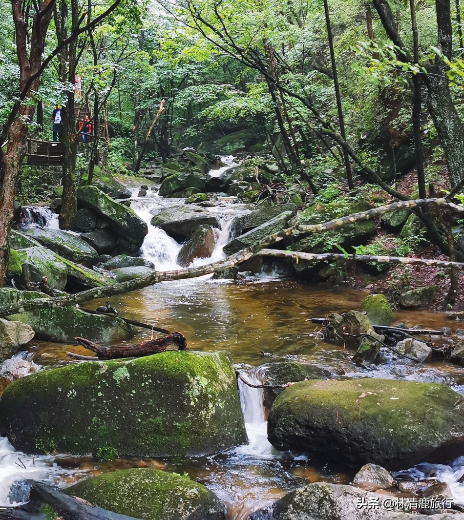 河南境内有山有水不累的景区,河南爬山玩水景点推荐