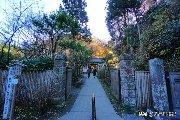 700年历史的日本小寺，为了看秋叶要买两次票，一次比一次贵