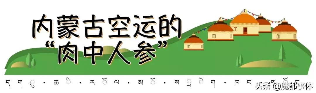 内蒙古秘汁烤全羊,烤全羊50斤