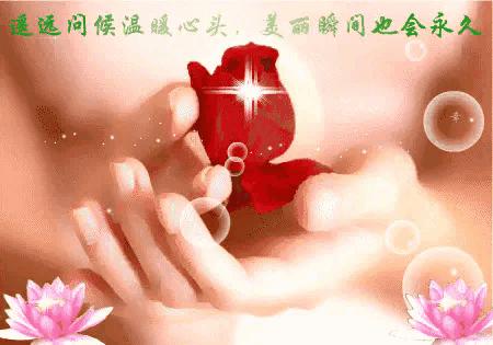 信书托雁候佳音/依旧情牵/倾盼君逢