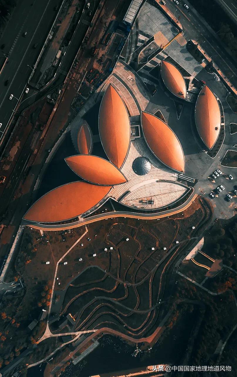 中国种水稻的省份地图,14亿大米图片