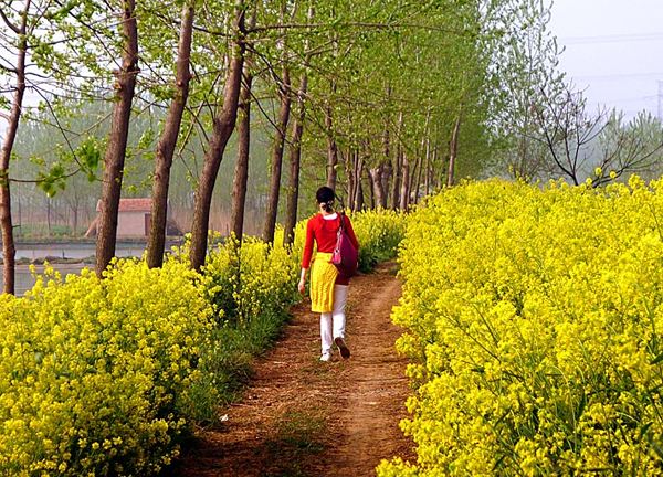 诗友原创诗歌分享,五月的唯美诗词散文