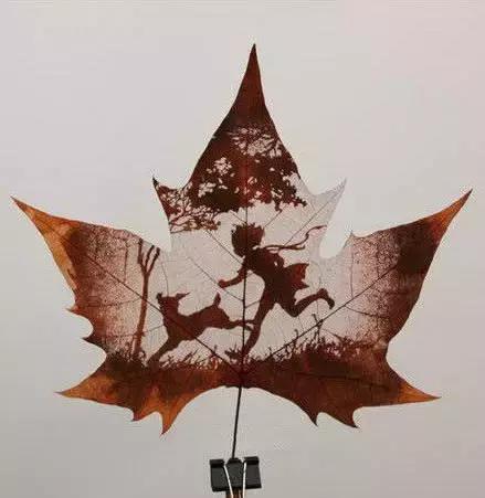 一叶一菩提高清图片,最漂亮的一叶一菩提