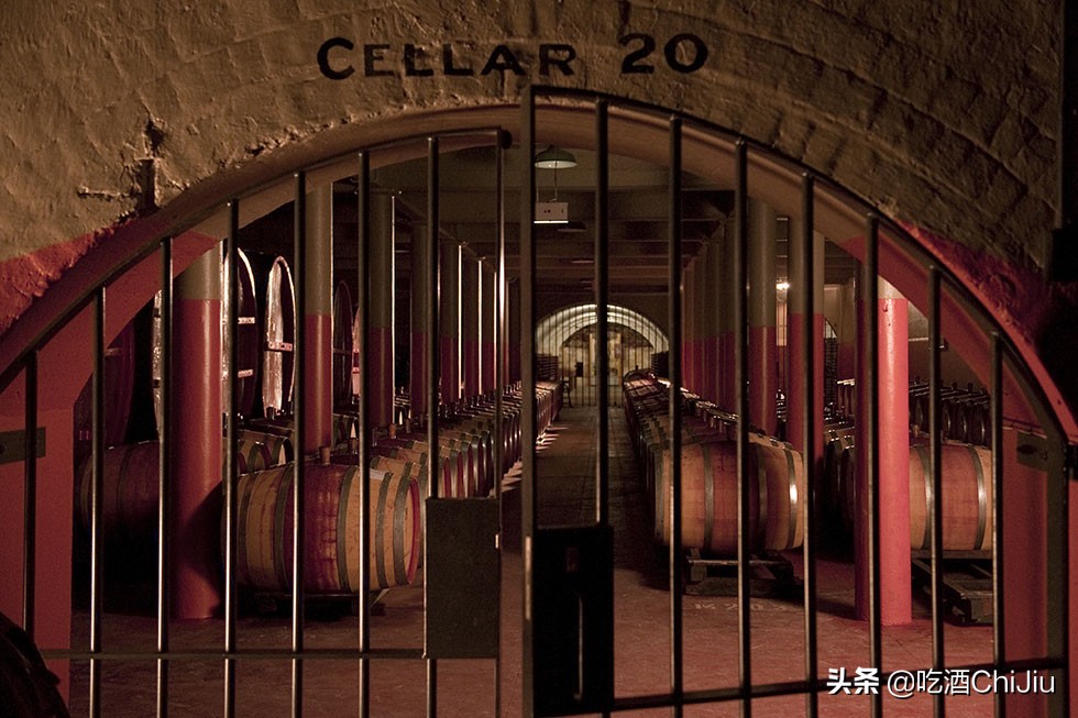 奔富红酒bin和vin的区别,奔富红酒bin系列介绍