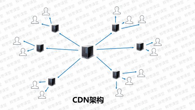 什么是CDNA,什么是cdn