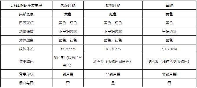 红腿陆龟拉稀怎么办,红腿陆龟雄性与雌性的区别