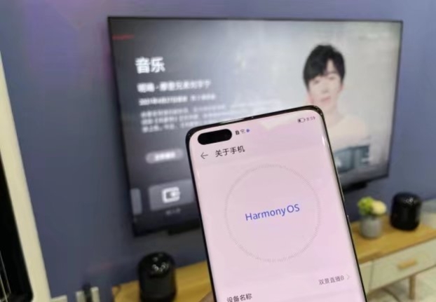 华为和小米到底哪个值得入手,小米和华为差距