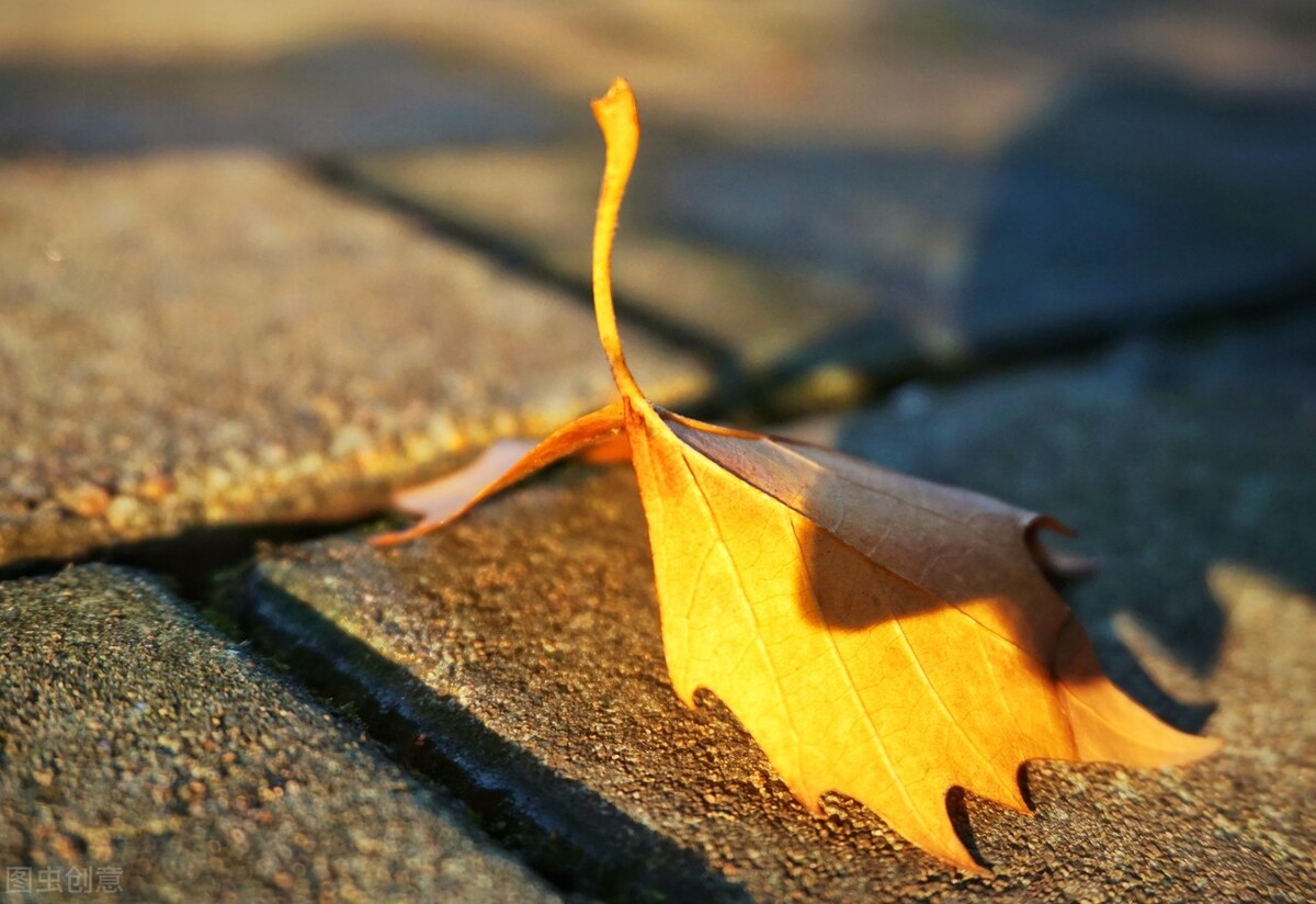 心若静了万物都是景,心若清净处处皆是莲花