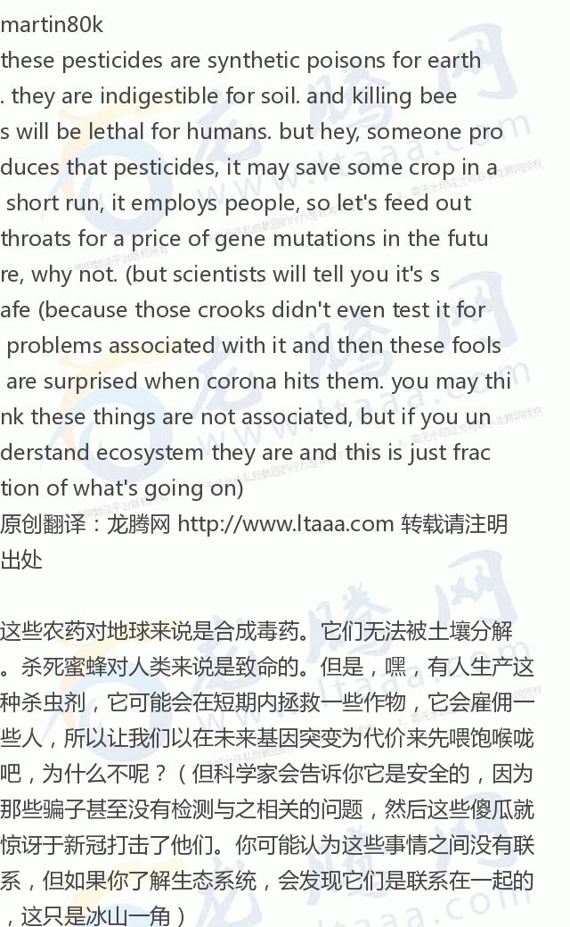 「龙腾网」英国政府允许农民使用欧盟禁止的危害蜜蜂的杀虫剂