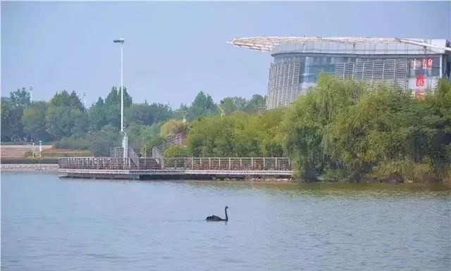 郑州2023年崛起吗,郑州今年还会升温吗