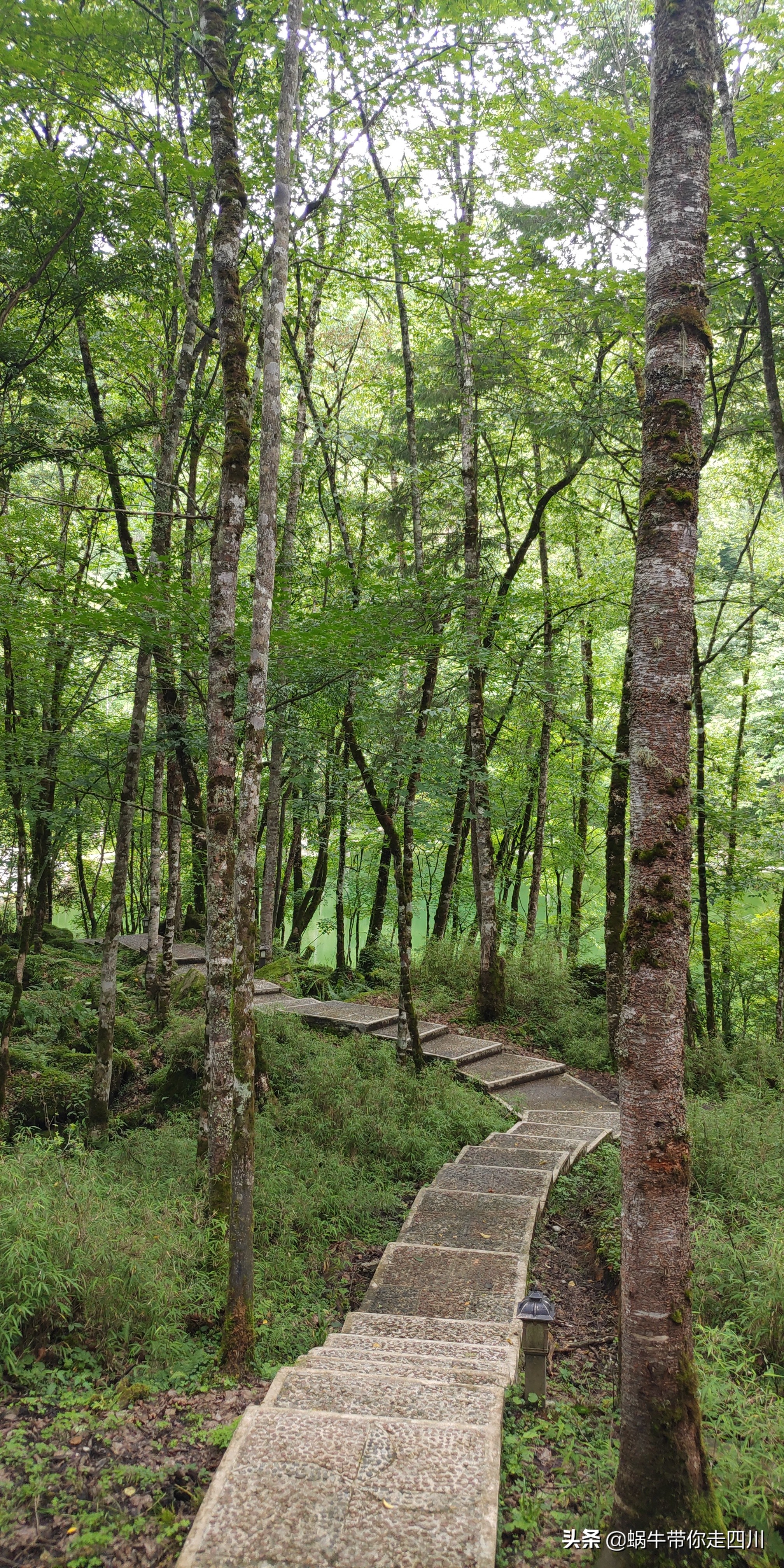 带小朋友出去看小动物,带小孩去海洋动物园