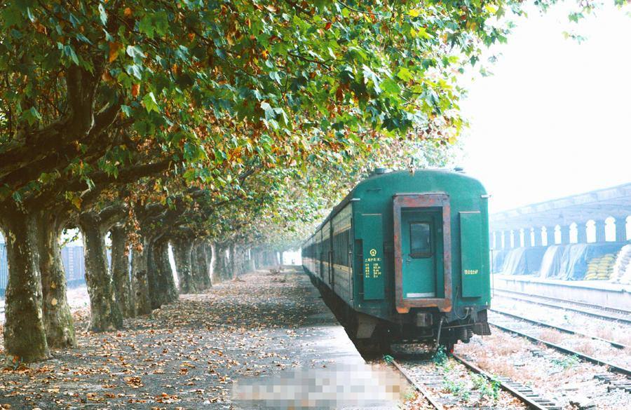 值得一去的南京旅游点,南京旅行攻略过年