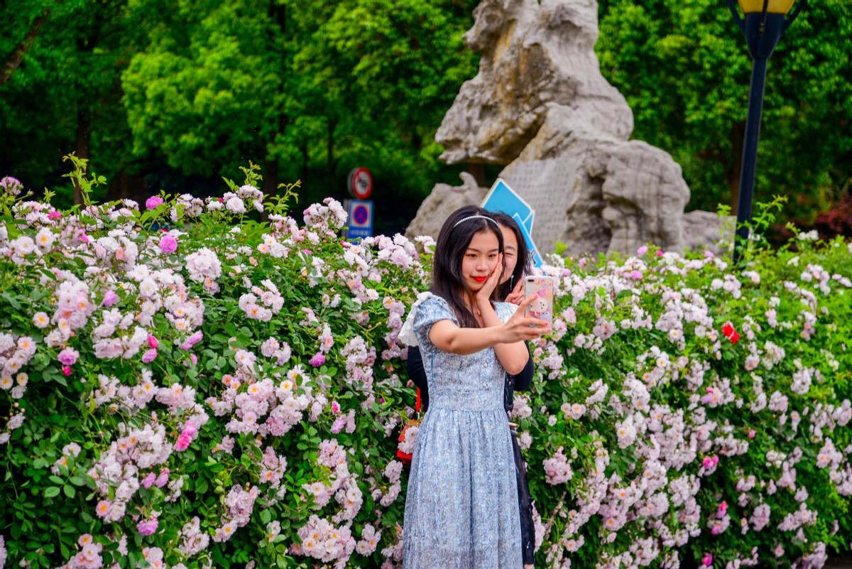 学*党**史、话科学、赏蔷薇，成都理工大学工程技术学院与你有“约”