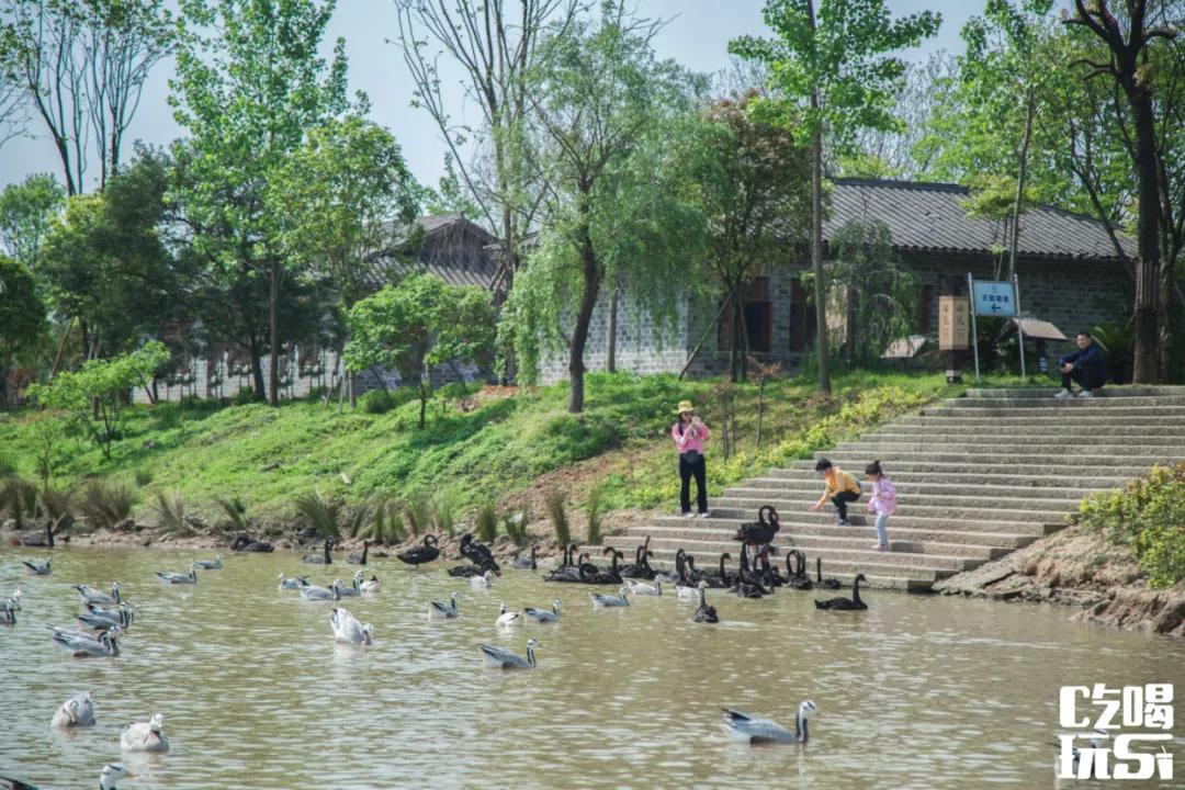 长沙遛娃亲子游攻略,长沙周末亲子游室内好去处