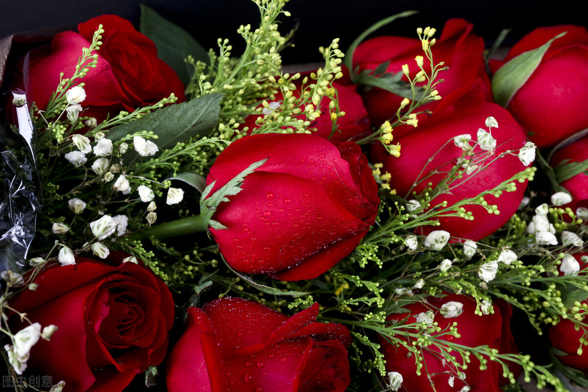 红色玫瑰代表着热烈的爱情,红玫瑰最能代表爱情的鲜花