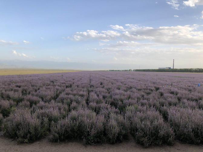 一家四口暑假日常之去游乐场,四川亲子游5日游8月游记
