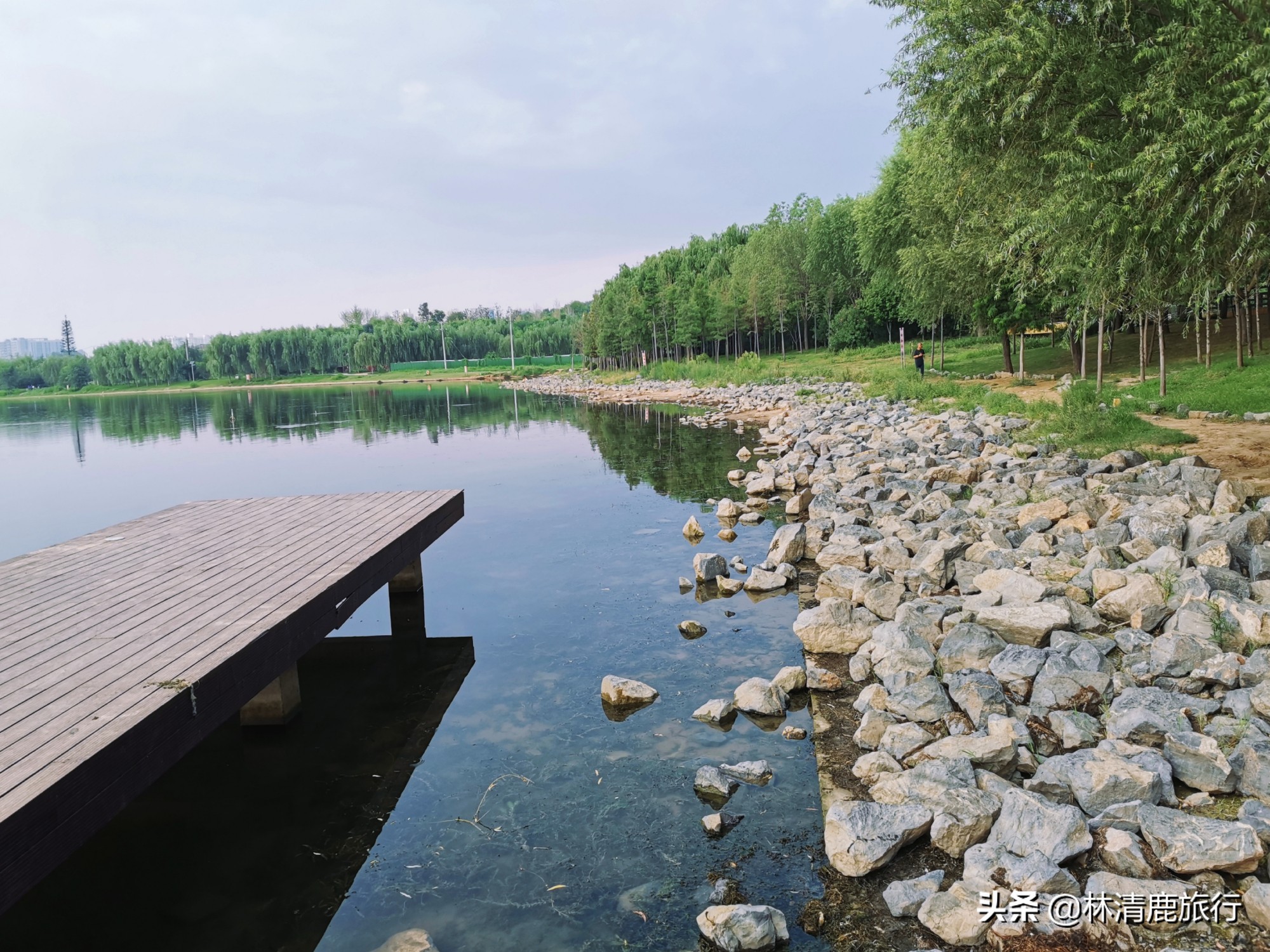 郑州免费湿地公园,郑州周围有水的公园免费景点