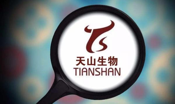 能好好养牛偏要做传媒，天山生物24亿引狼入室，连亏两年即将戴帽