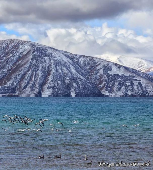 青海隐藏的秘密,青海发现美丽秘境全世界为之瞩目