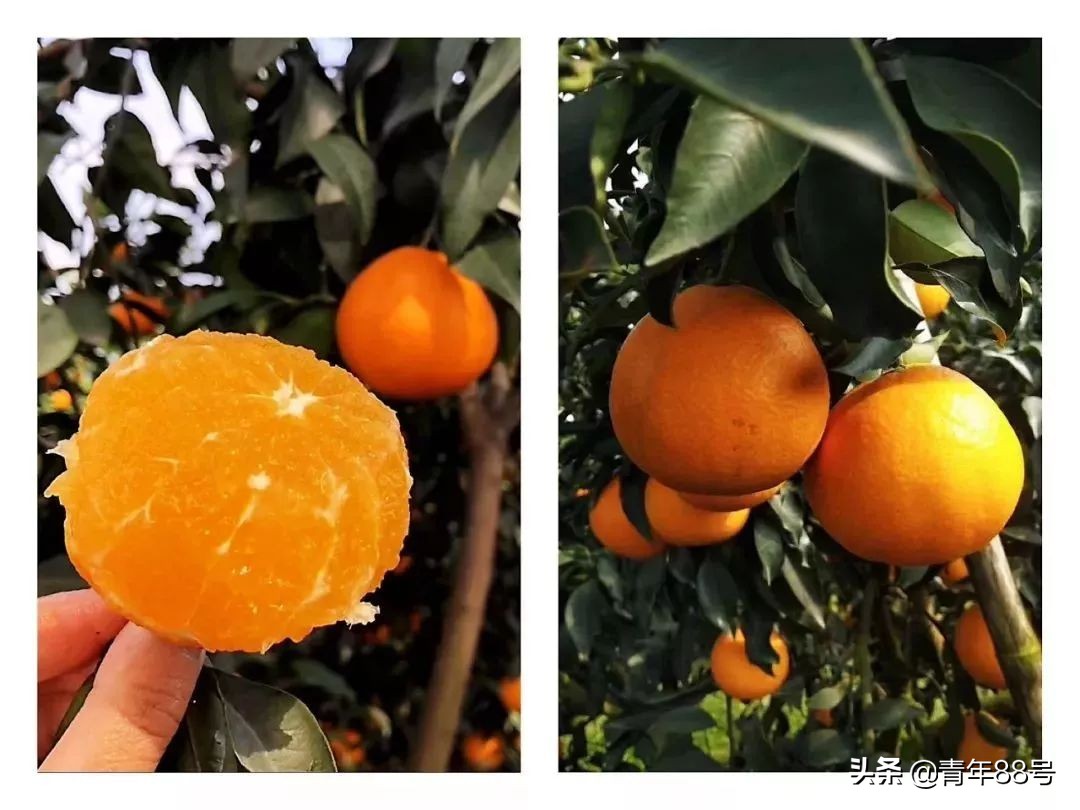 你曾经沉迷的游戏后来怎样走出来,你曾经沉迷一款游戏是什么状态