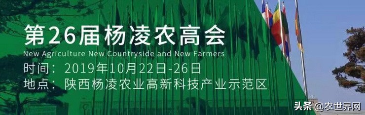 鍖椾含缇庢灄绉戞妧鏈夐檺鍏徃,鍖椾含缇庢灄鍦版櫙鐏屾簤绉戞妧鏈夐檺鍏徃
