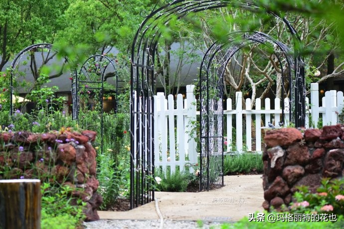 上海洋水仙,上海璞素上居民宿抖音团购