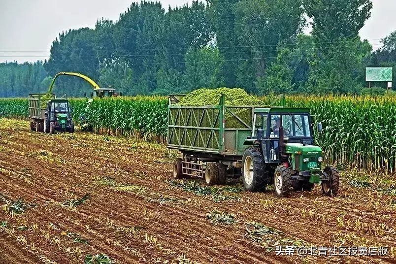 搜一搜就知道了,搜一搜商家会怎么样