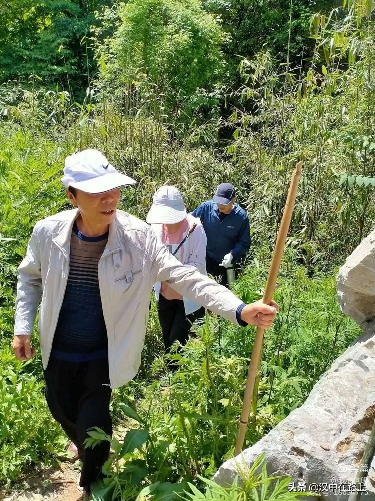 汉中圈子崖天坑,汉中镇巴圈子崖天坑旅游攻略