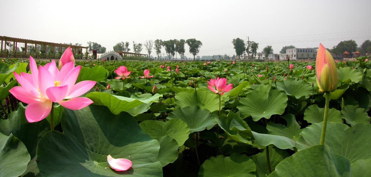晋源区河道整治项目有哪些,晋源区周边环境整治