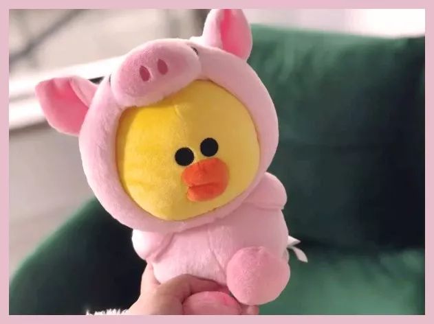 猪年限定款有哪些品牌,猪年限定哪款最值得购买