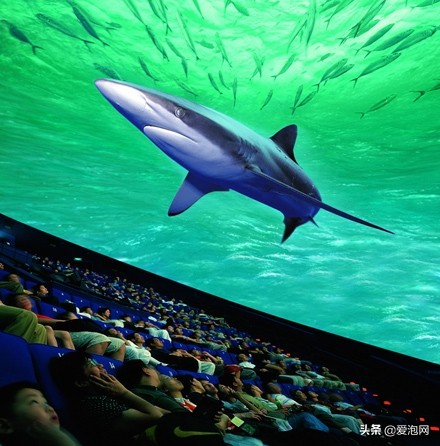 上海天文馆和科技馆哪个更值得去,上海自然博物馆和科技馆哪个好玩