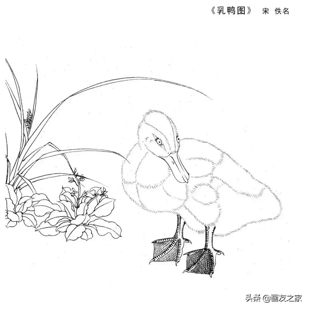 宋花鸟工笔画高清大图临摹过程,宋画工笔画花卉上色教程