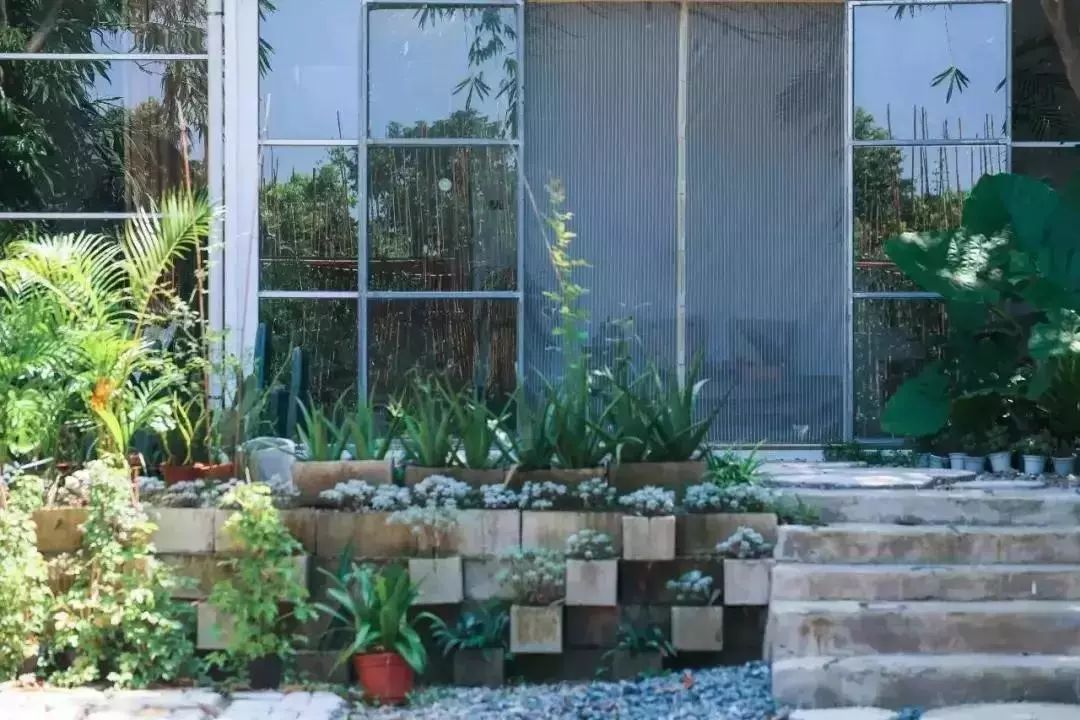 羡慕哭了!央美90后姑娘造300㎡花房,开启幸福隐居生活