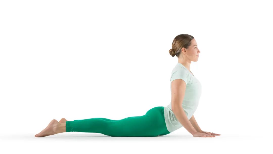 健身之7个瑜伽基础体式,健身瑜伽一级体式及动作要领