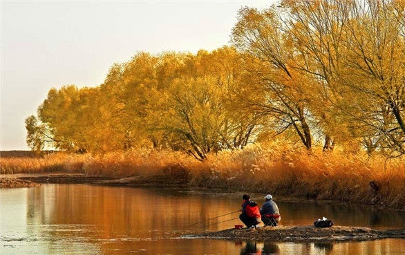 摇三摇避小杂鱼原理,摇三摇避杂鱼水下视频
