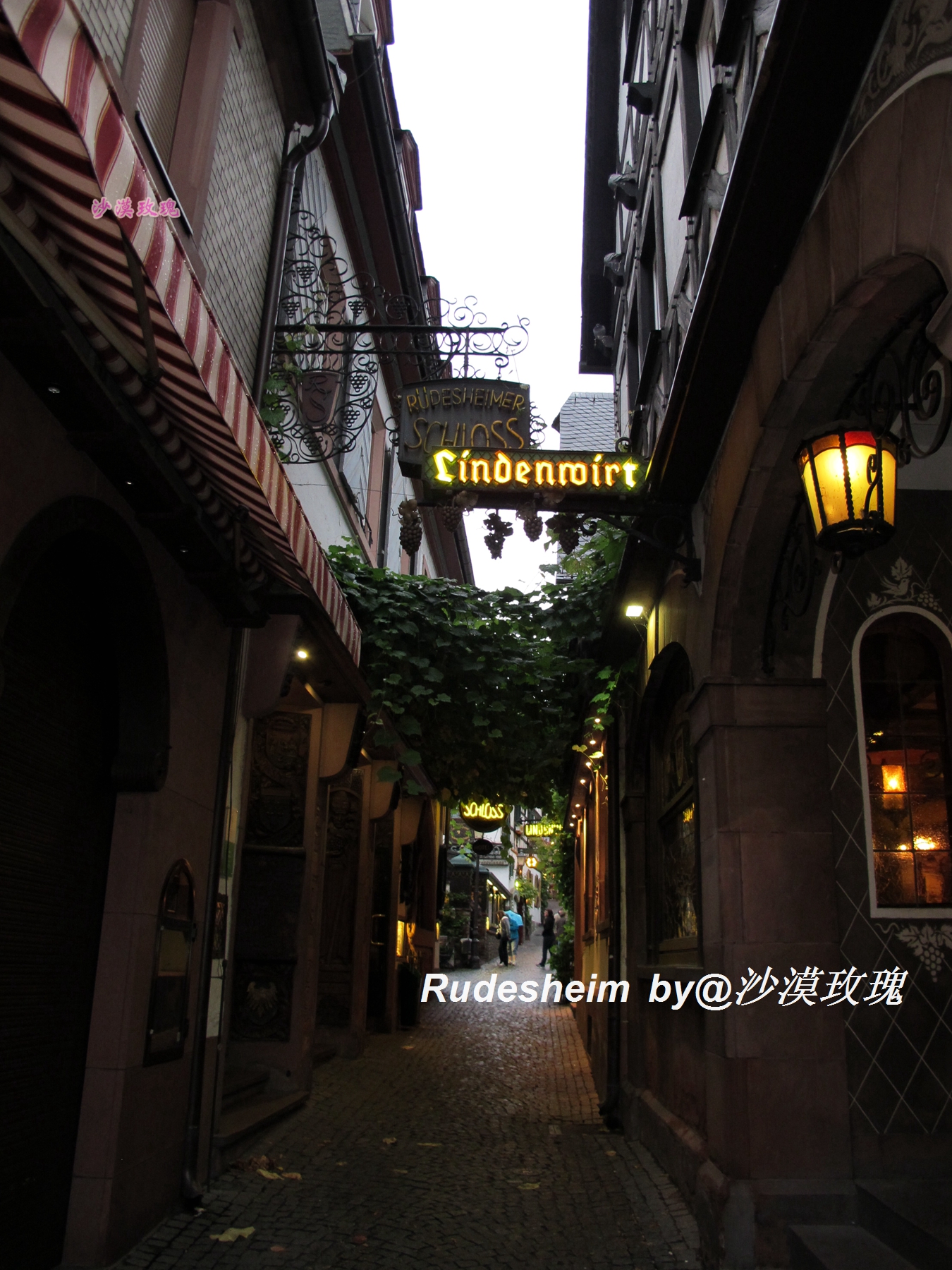 莱茵河葡萄酒小镇,莱茵河畔的葡萄小镇