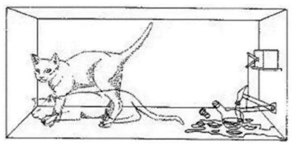 玻尔量子论有什么问题,哥本哈根量子力学解释