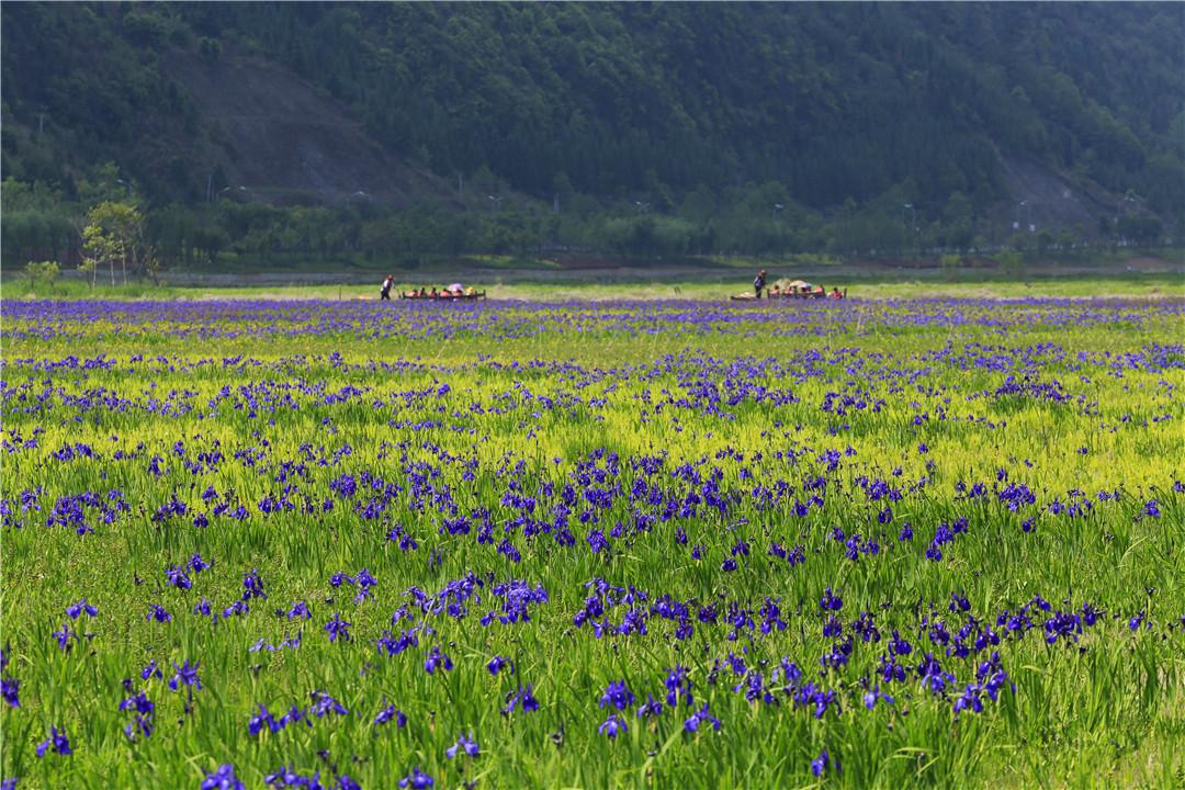腾冲精品旅游,魅力腾冲旅游