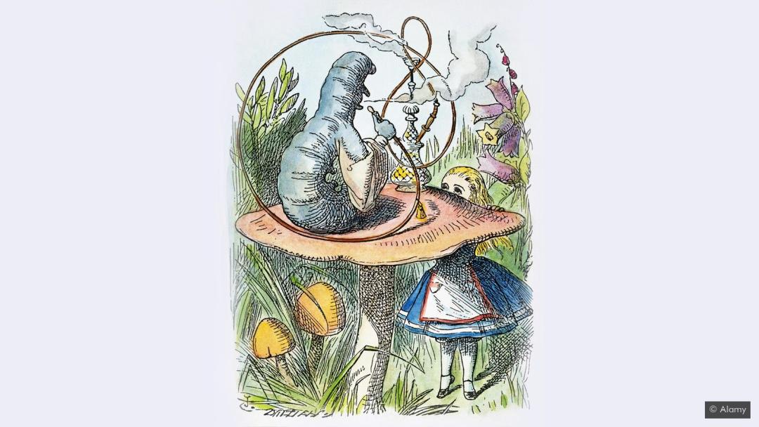 解构莫奈,解构巴尔扎克