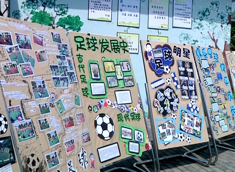 幼儿园关于足球的生活化课程,幼儿园足球知识培训