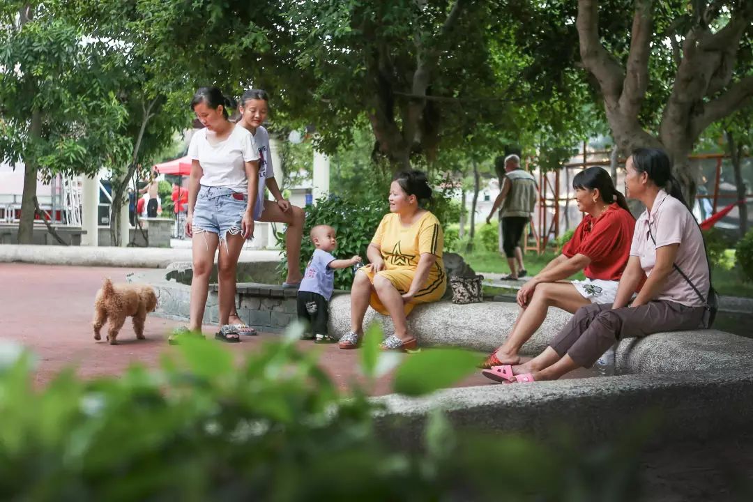 晋江西滨，面积最小的镇，70幅作品了解“大美晋江精品西滨”