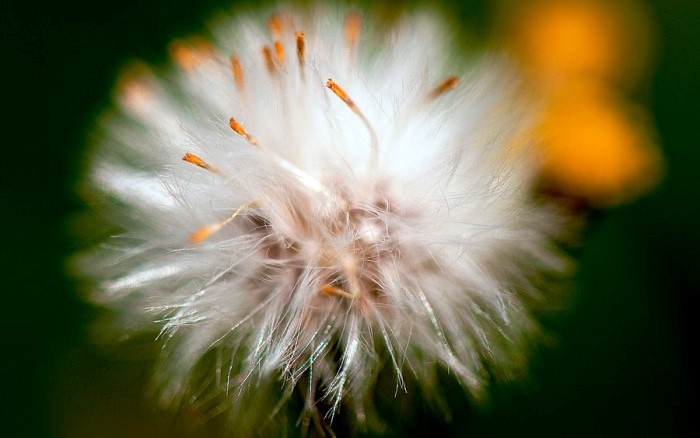 12月20日早安正能量阳光的说说,阳光心态正能量短句子很燃很励志