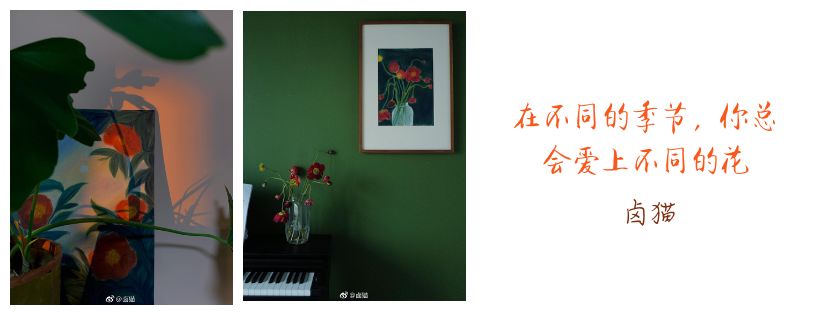 日常羡慕上海人！这样去浪，才算没白过这人间的四月天！