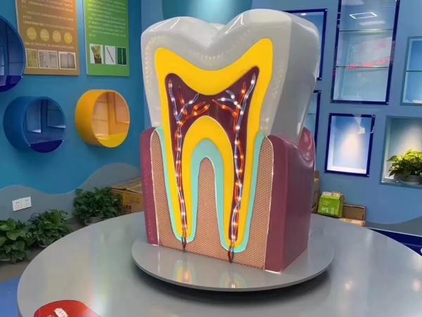 刚刚，无锡儿童口腔医院正式启用了