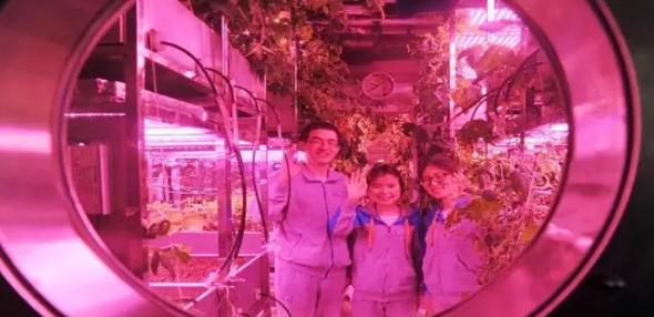 无土栽培技术视频免费,蔬菜无土栽培技术视频